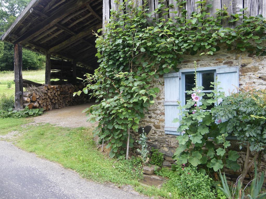 Bed and Breakfast Le Balcon Commingeois Chein-Dessus Номер фото